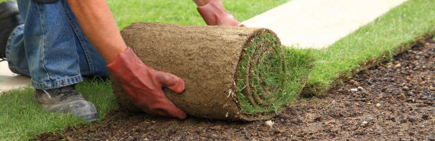 Rollrasen: Wie verlegt man Rollrasen | Liebe Deinen Garten